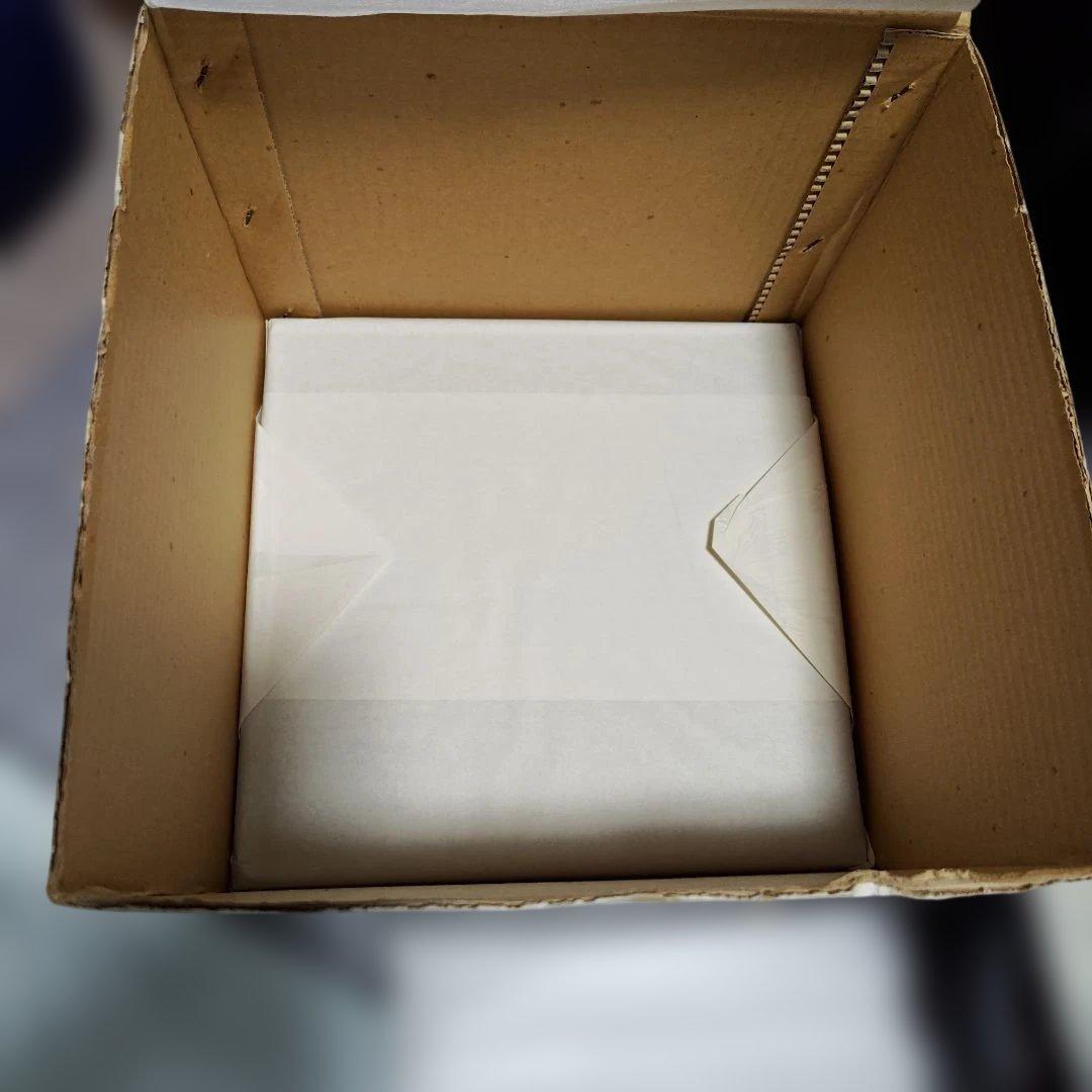 たち吉　橘吉　天然木　松花堂　四方弁当　重箱　希少品　5客セット　共箱付き