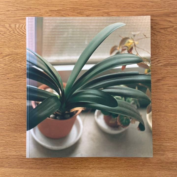 左内正史　生きている