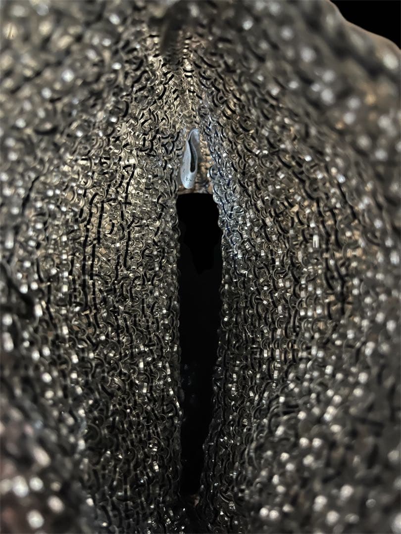 [未使用級！即日発送‼️]ANTEPRIMA メタルチェーン パーティーバッグ