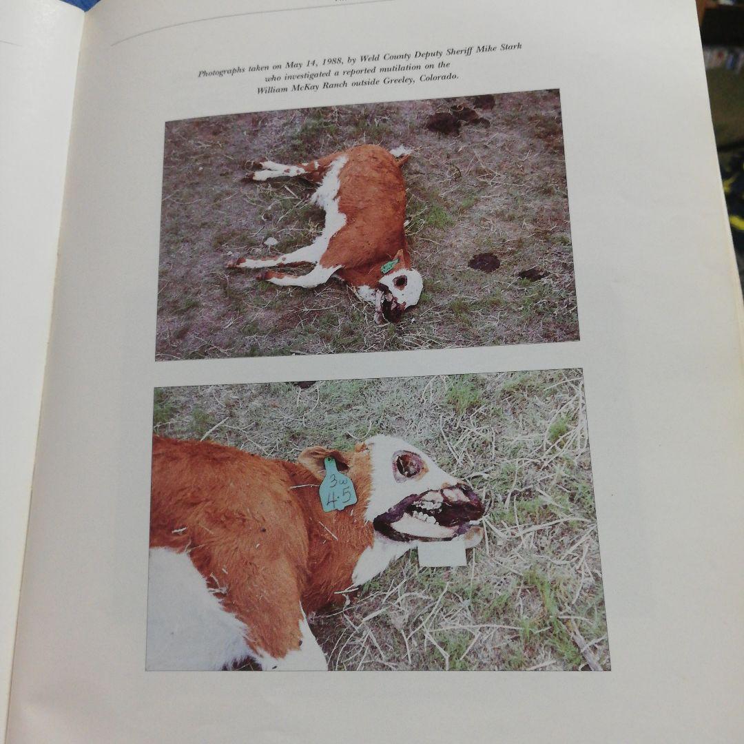 洋書 AN ALIEN HARVEST by Linda Moulton Howe