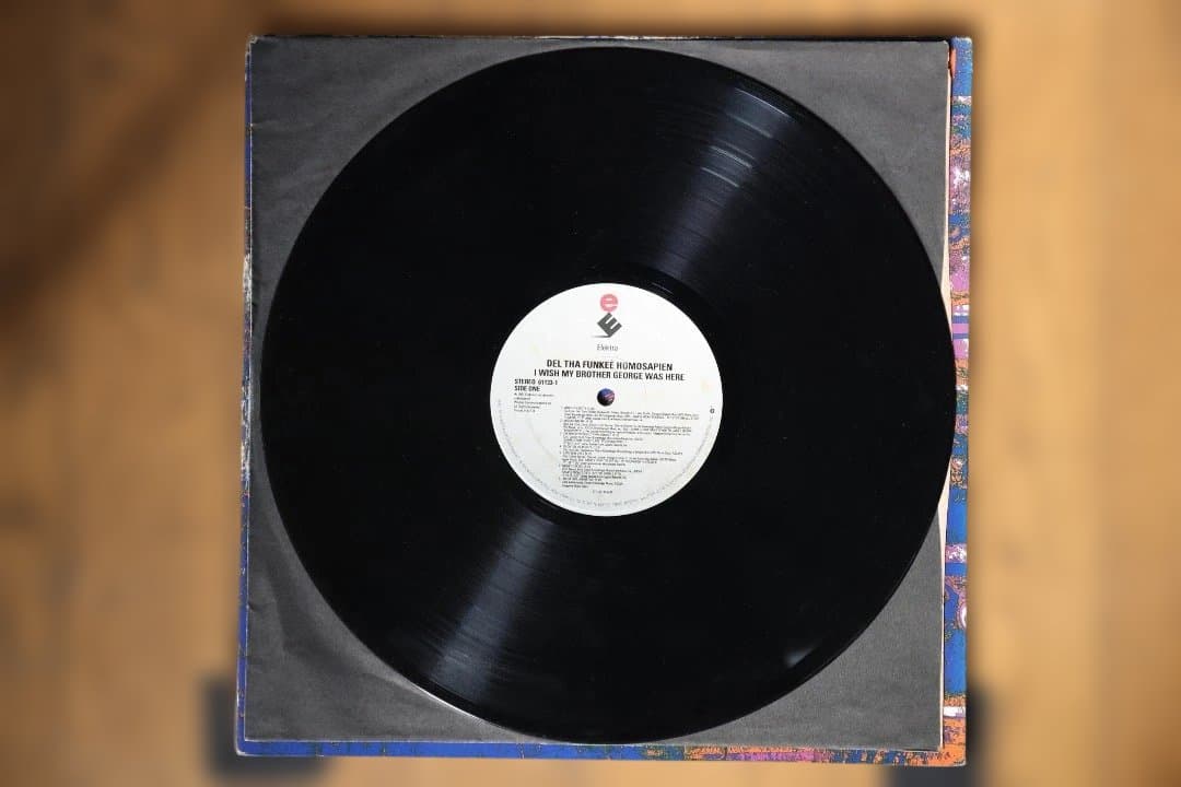 デル ザ ファンキー : I wish my brother was here