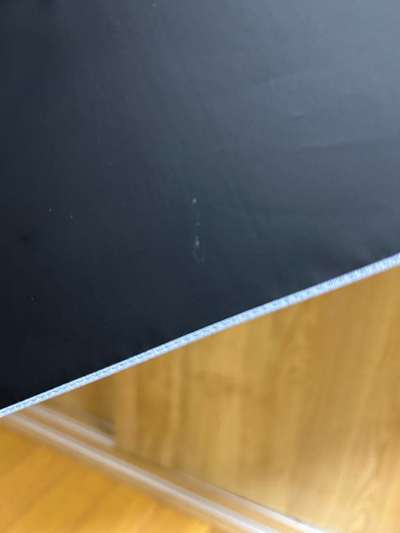 サンバリア100 日傘　完全遮光　 Lサイズ フロスト