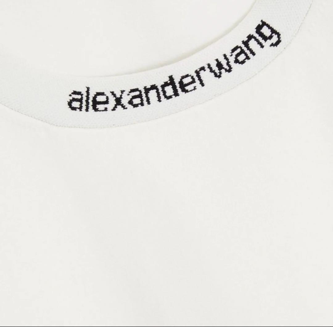 アレキサンダーワン　ニット　Alexander wan