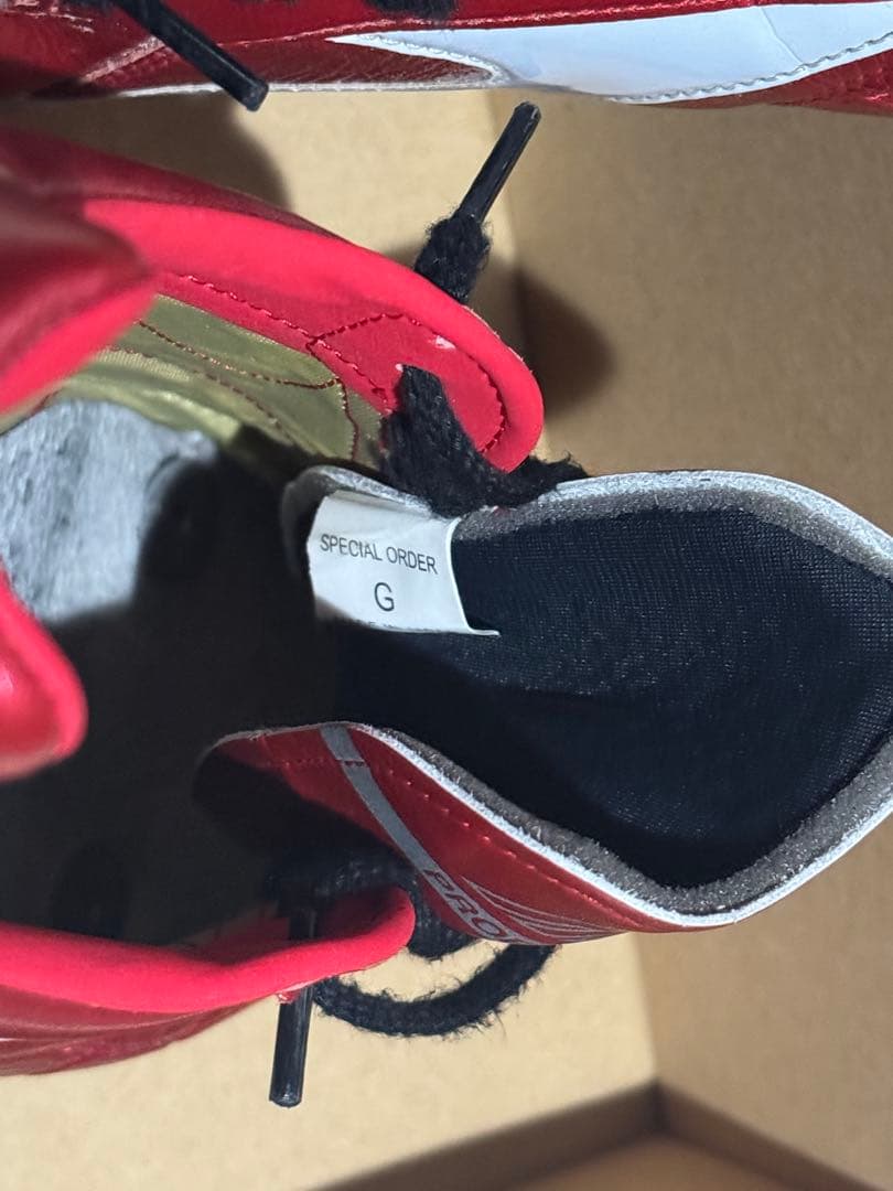 Mizuno モレリア2