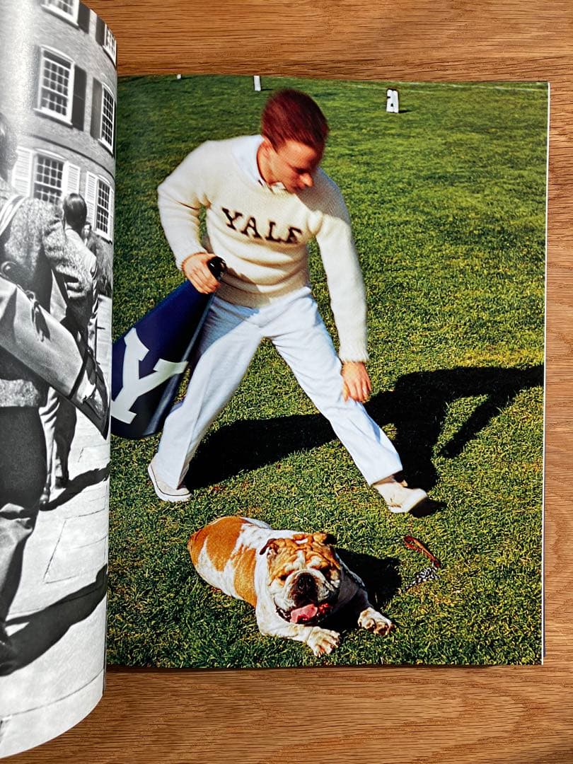 IVY LEAGUE 写真集