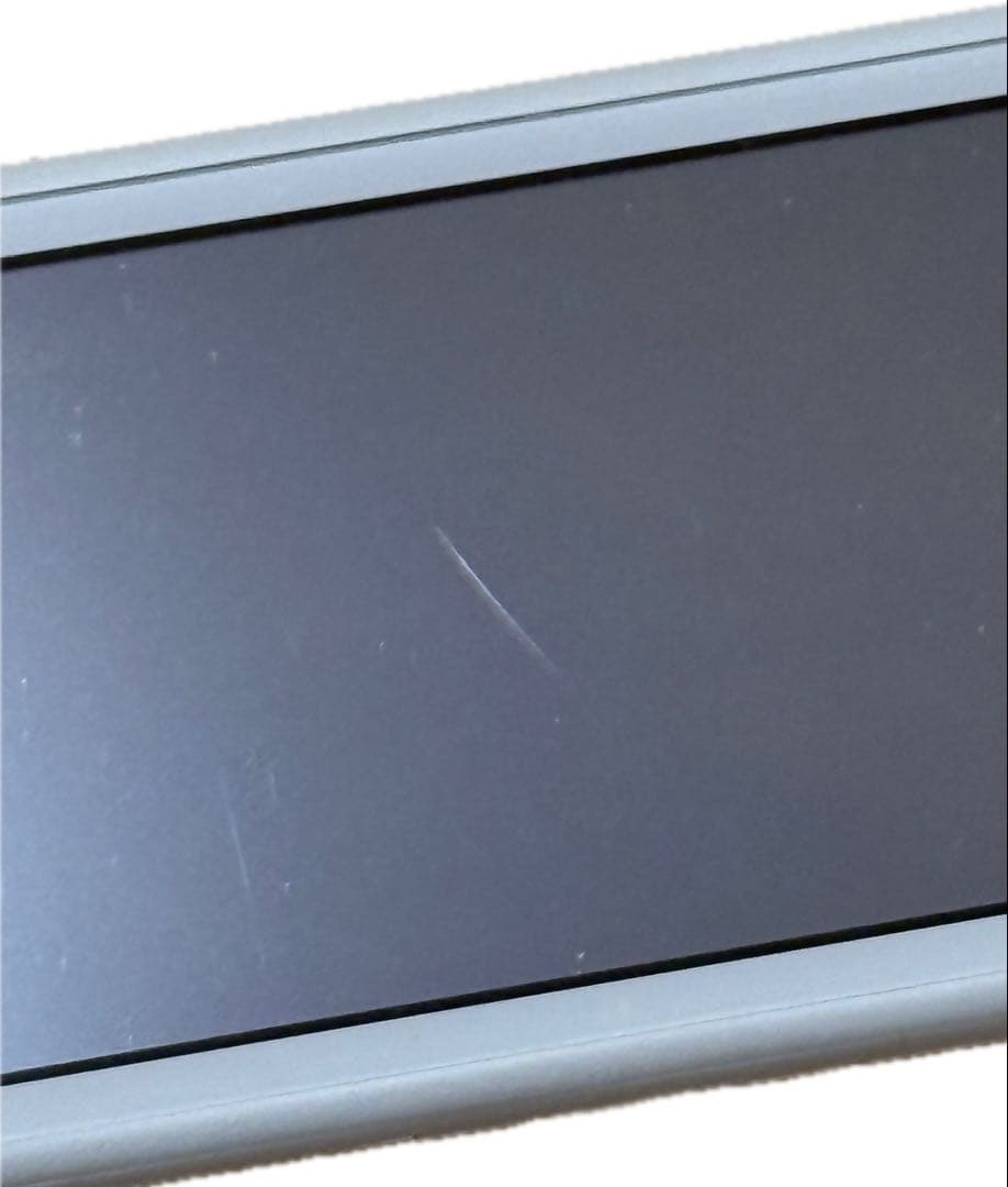 Nintendo Switch Lite ポケモン ザシアン・ザマゼンタ本体のみ