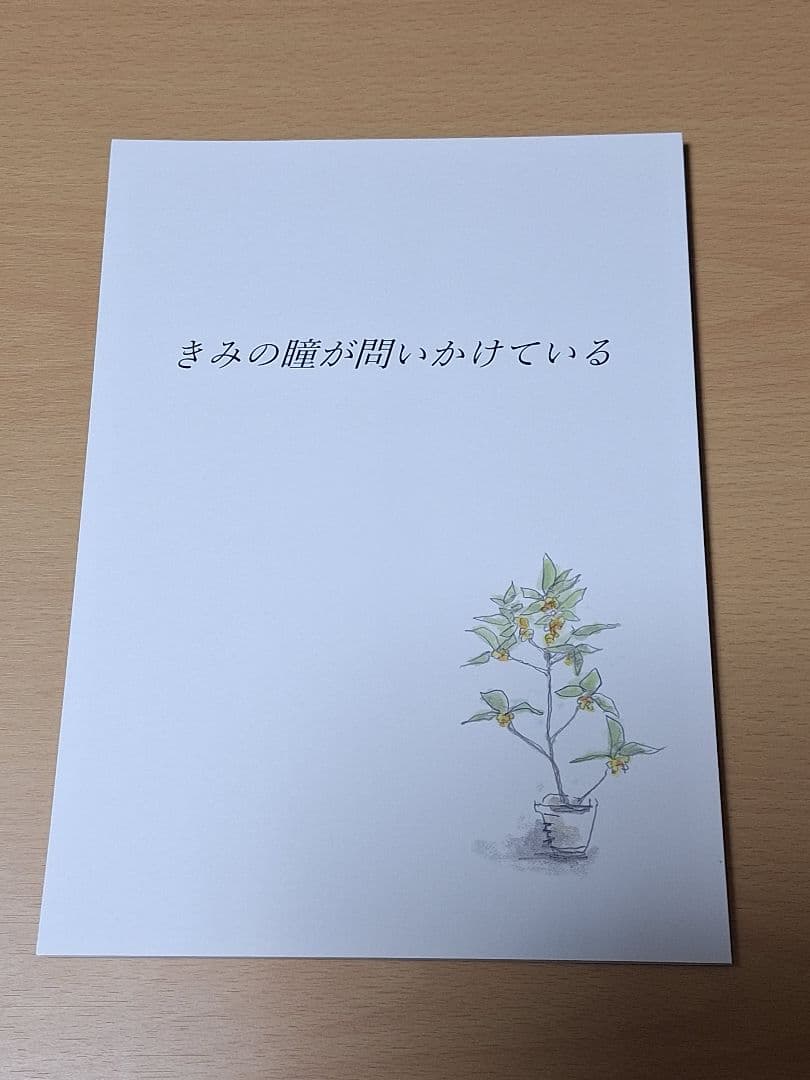 きみの瞳が問いかけている Blu-rayコレクターズ・エディション&台本セット