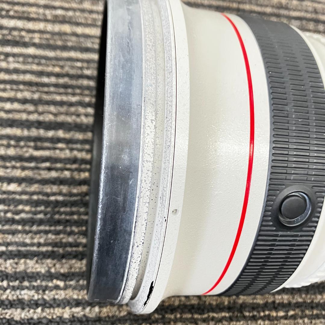 Canon超望遠レンズ EF500mm F4 L IS USM