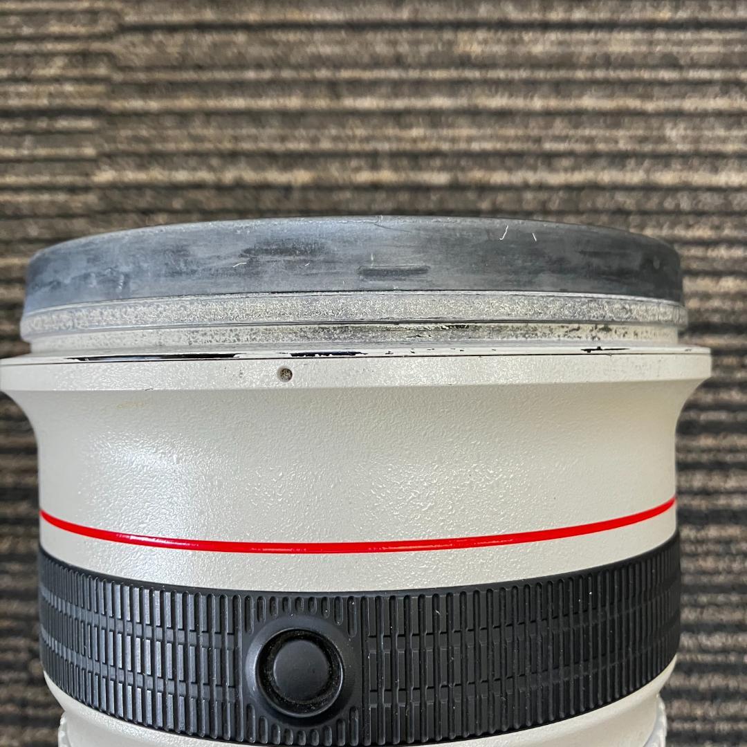 Canon超望遠レンズ EF500mm F4 L IS USM