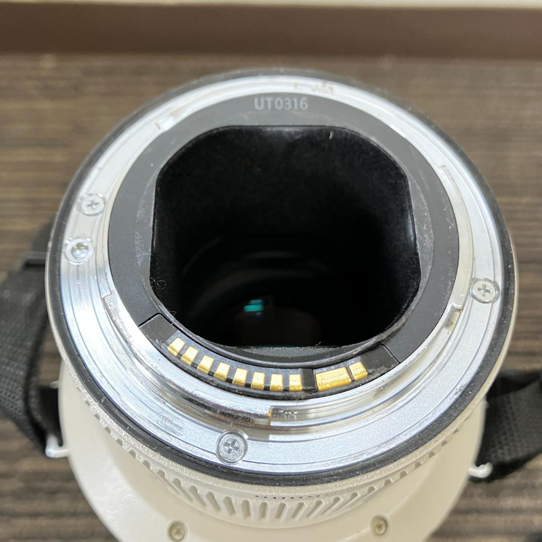 Canon超望遠レンズ EF500mm F4 L IS USM