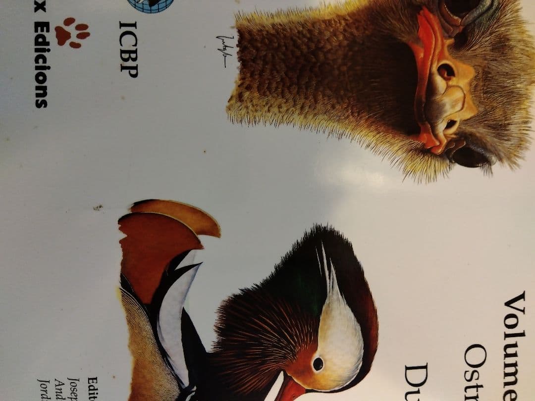 洋書 HANDBOOK of the BIRDS of the WORLD