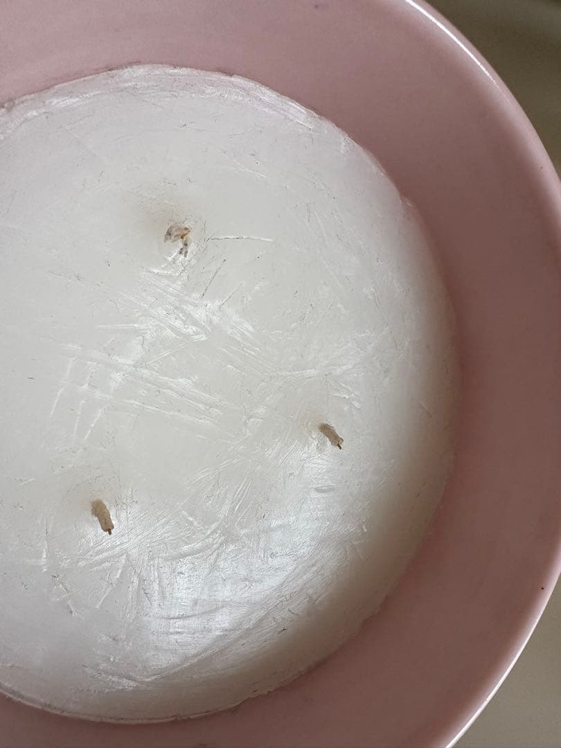 【diptyque】 ROSEキャンドル 600gラージサイズ　ピンク