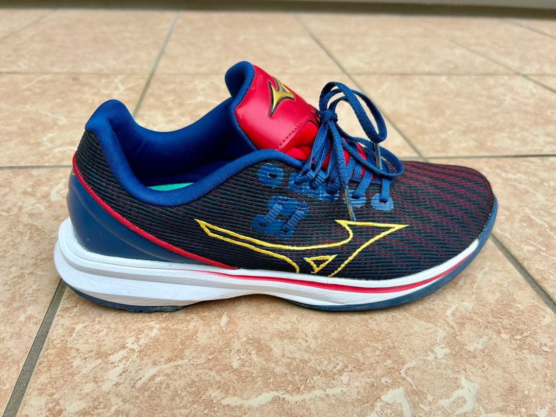 【値下げ】ミズノプロ　ウェーブライトレボランプロ　WBC限定色25.5㎝