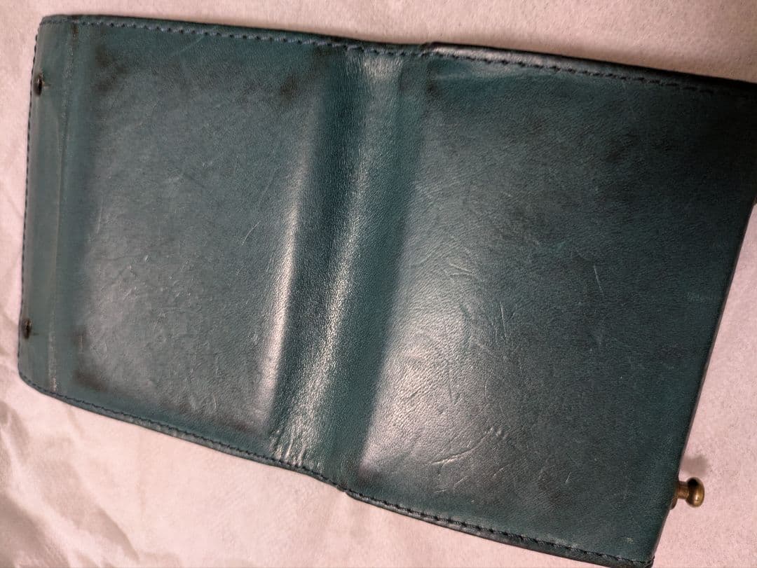 【限定色】エムピウ ミッレフォッリエ P25 オルテンシア