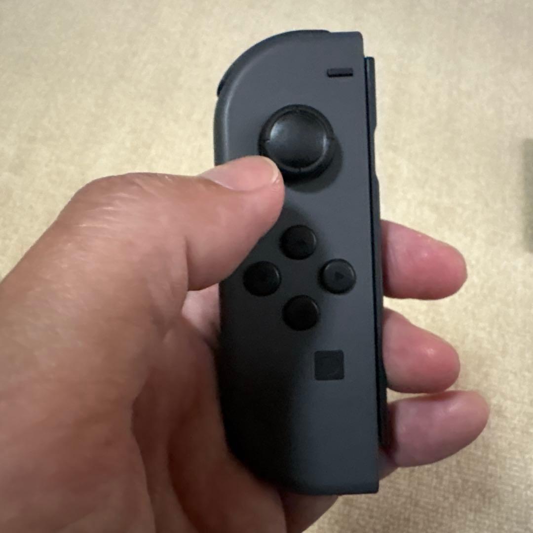 【SSさん専用】Nintendo Switch グレー 本体 ソフト付き