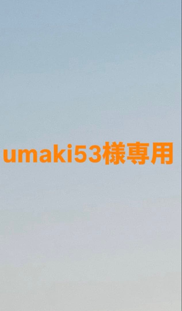 COMME des GARÇONS PLAY ハートTシャツ AZ-T085