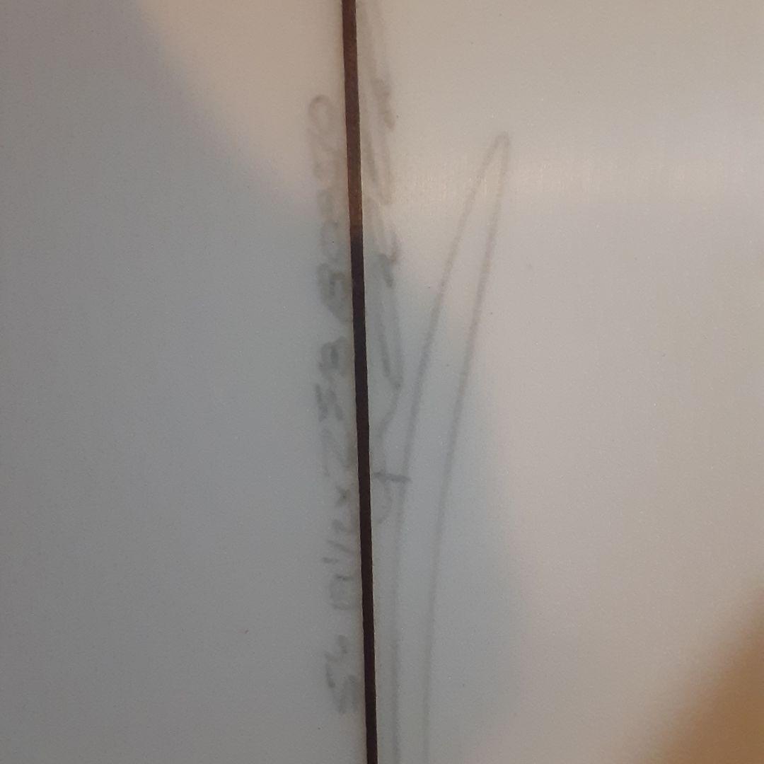 クリステンソン christenson surfer rosa