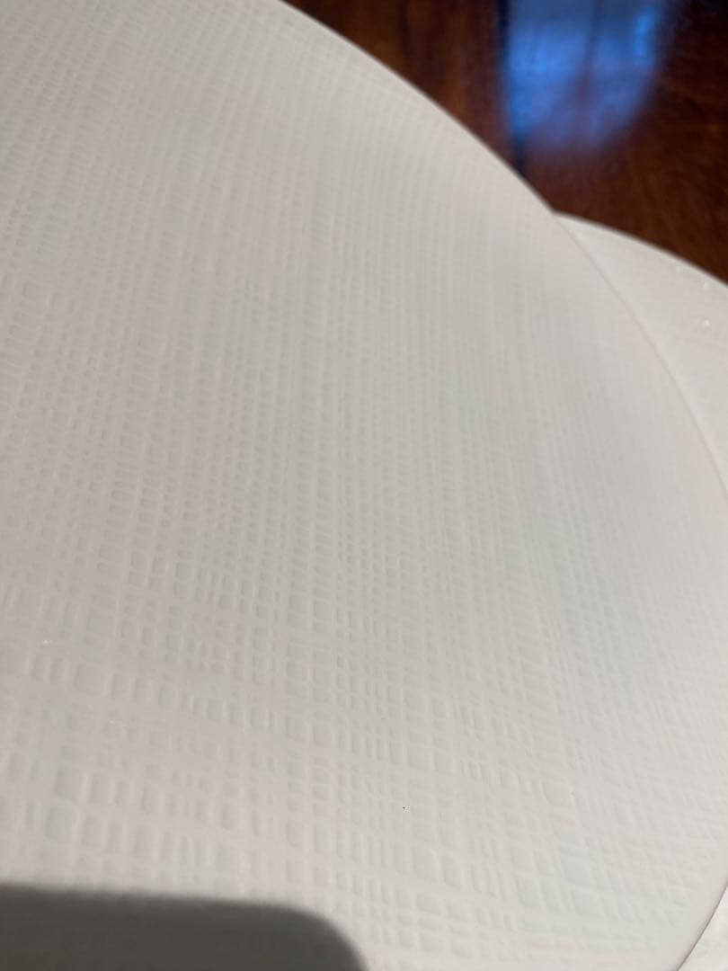 BERNARDAUD Organzaクープディナープレート26cm 6枚セット