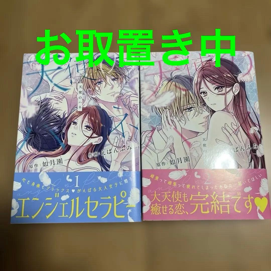 天使のハネ 1.2 完結