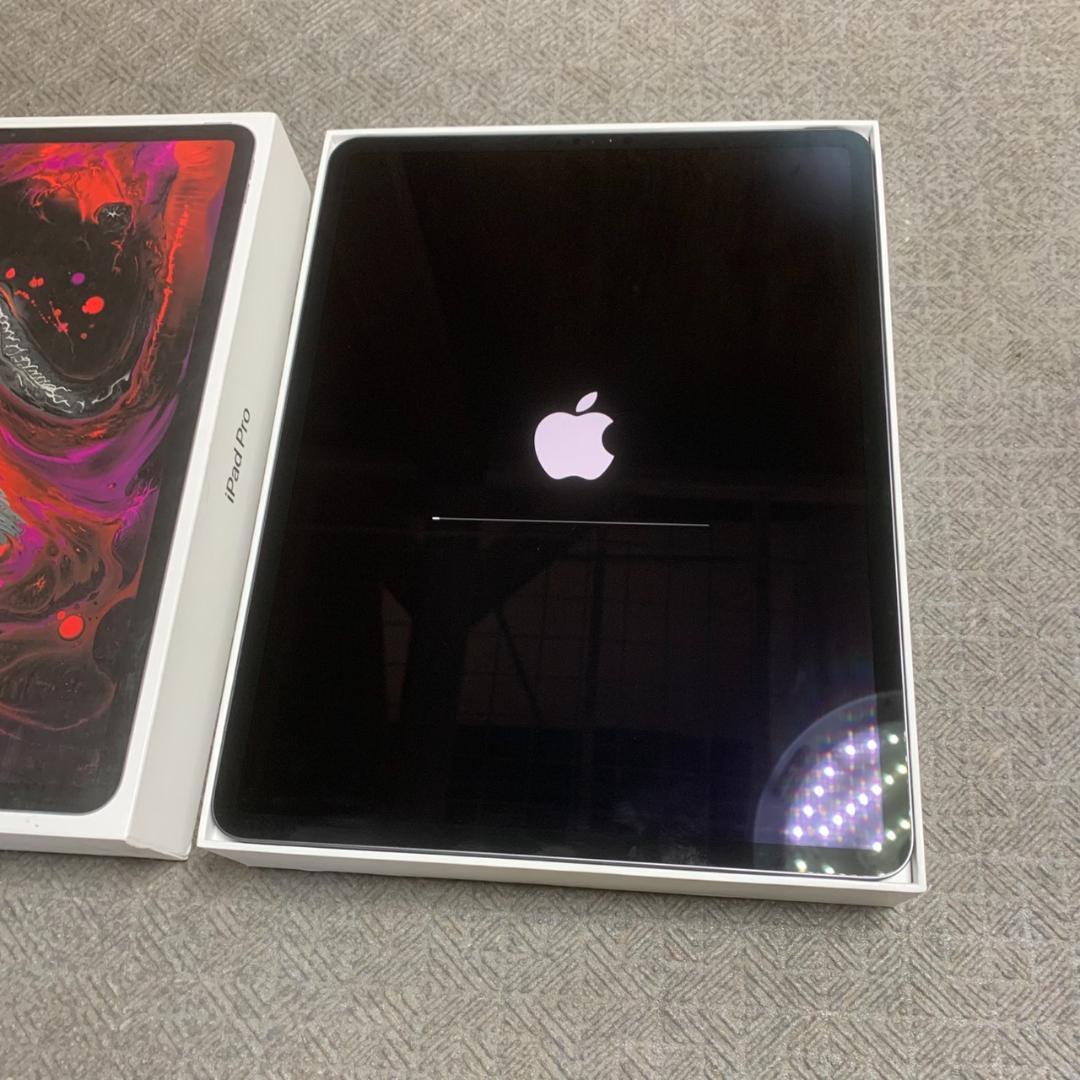 K775 Apple iPad Pro 12.9インチ 第3世代 256GB