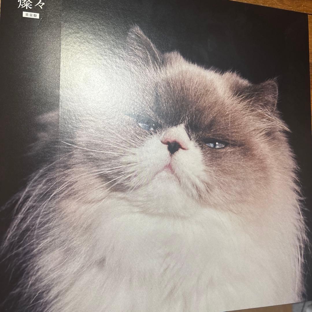 燦々　カネコアヤノ　レコード