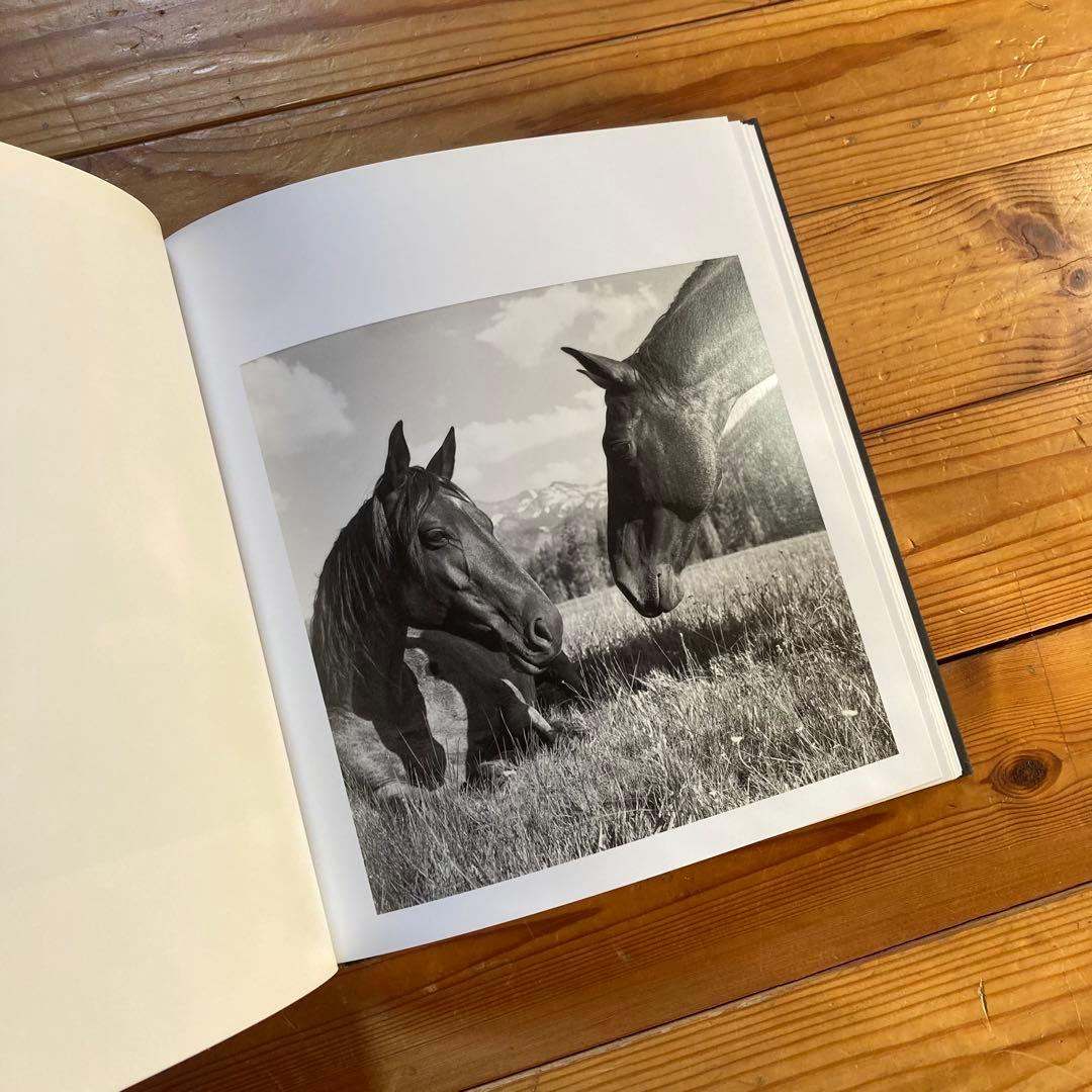 アート・デザイン・音楽 MEGALITH-STILL - Mimi Plumb