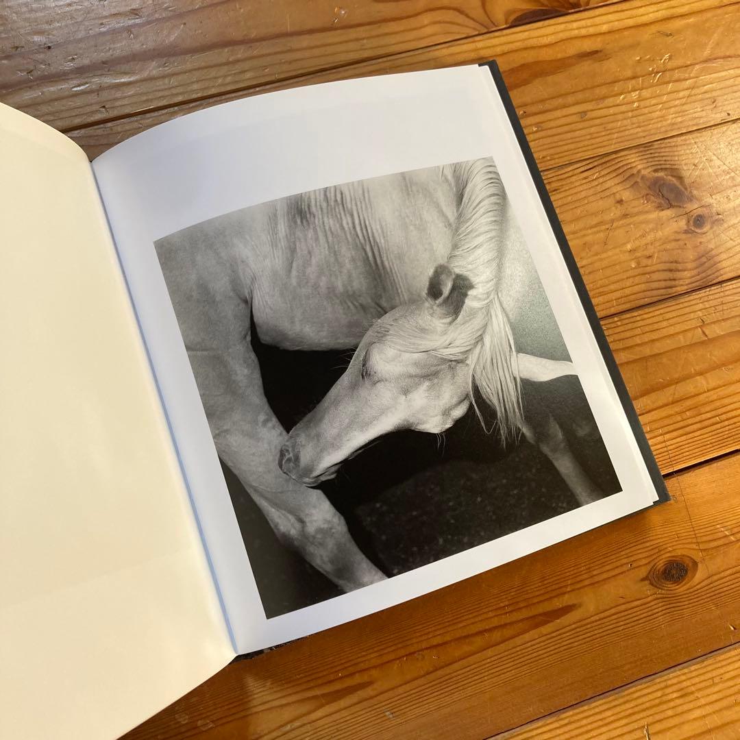 アート・デザイン・音楽 MEGALITH-STILL - Mimi Plumb