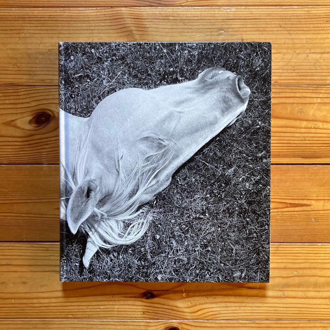 アート・デザイン・音楽 MEGALITH-STILL - Mimi Plumb