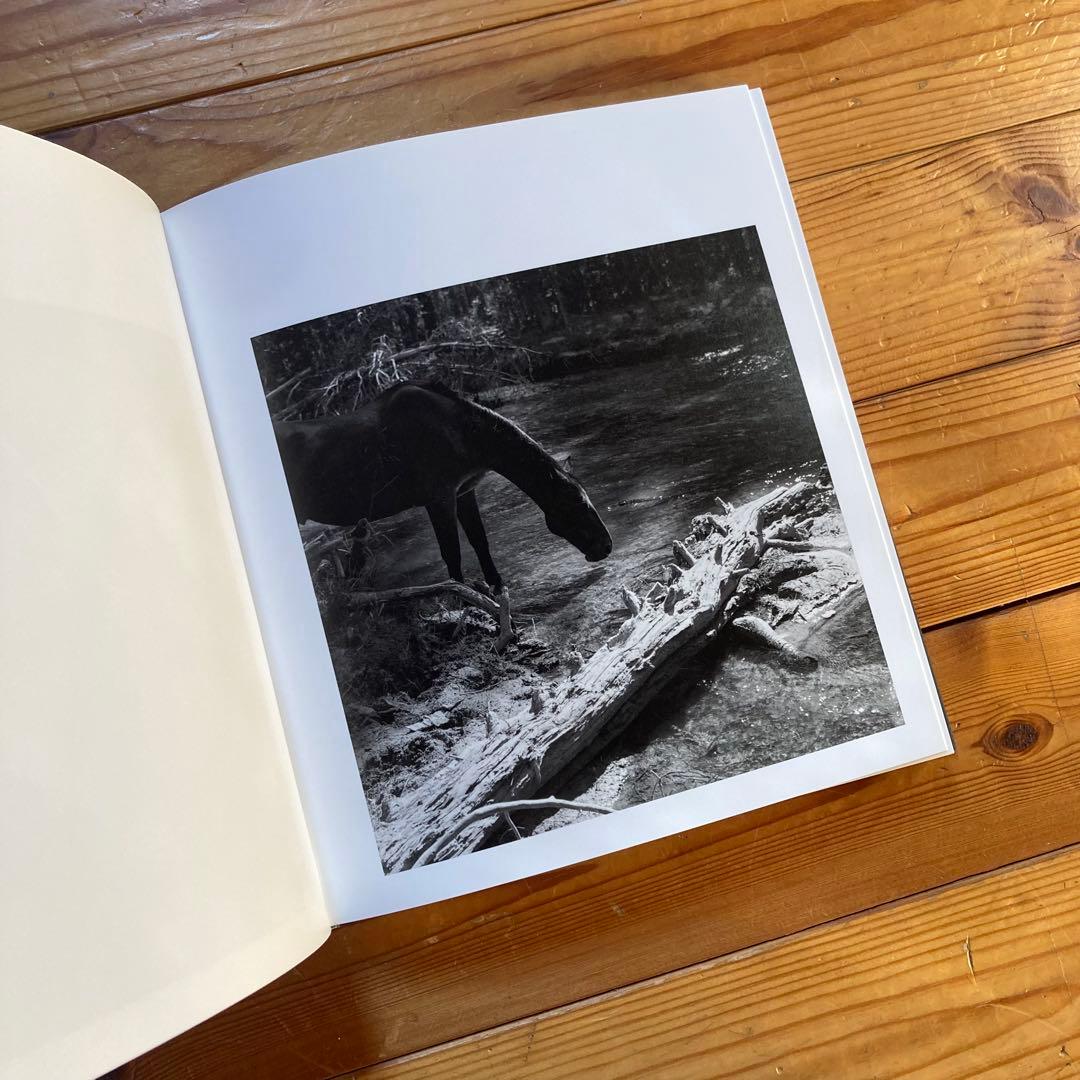 アート・デザイン・音楽 MEGALITH-STILL - Mimi Plumb