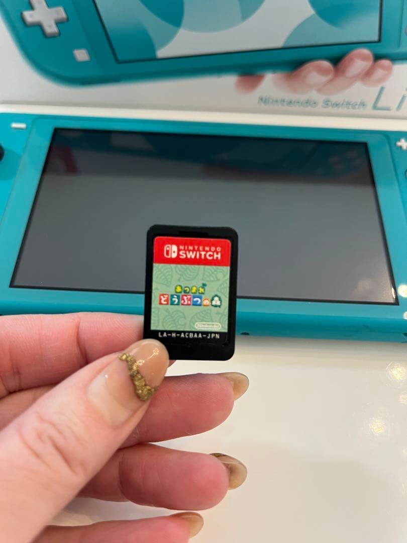 【Nintendo Switch Lite 】どうぶつの森ソフト付き ＊超美品＊