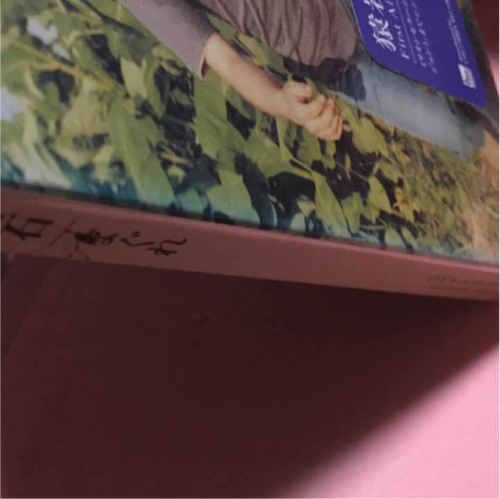 猿岩石/まぐれ    参考画像