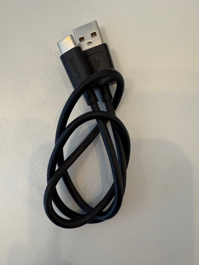 SONY デジタルメディアプレーヤー NW-A306