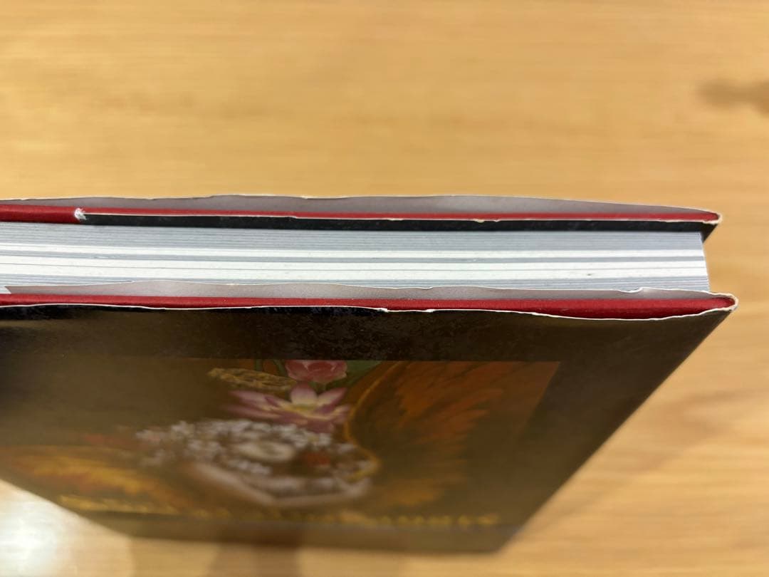 小島文美画集 Santa Lilio Sangre 緋いユリ