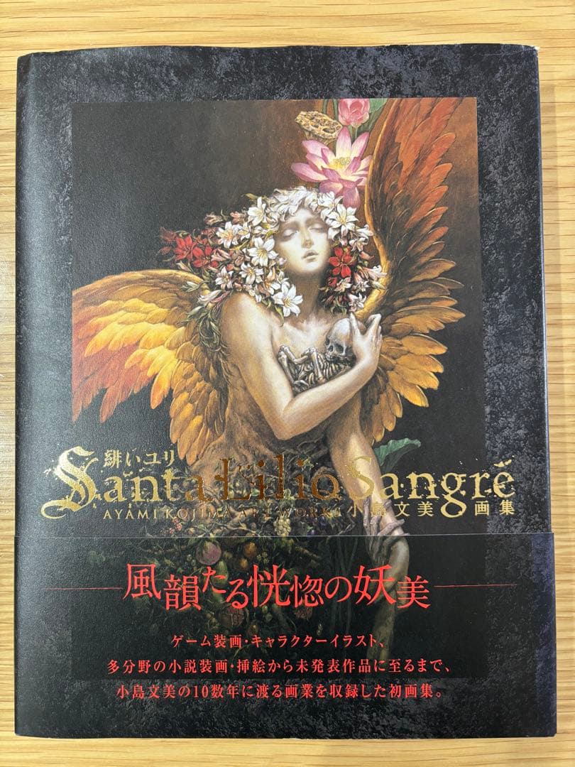 小島文美画集 Santa Lilio Sangre 緋いユリ