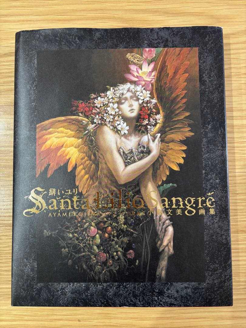 小島文美画集 Santa Lilio Sangre 緋いユリ