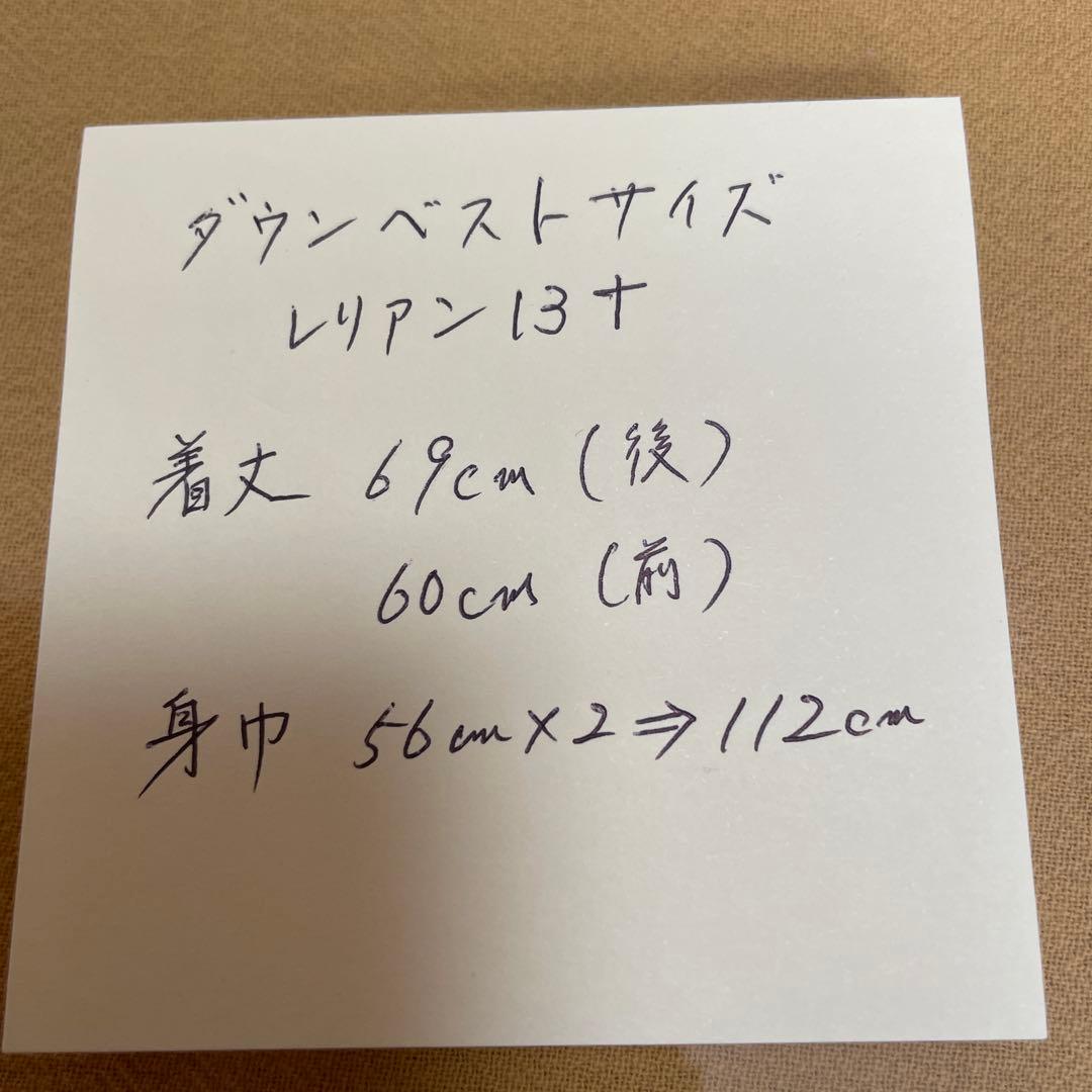 2024年秋TAION リモンタ製 レリアンコラボ フードキルティングベスト