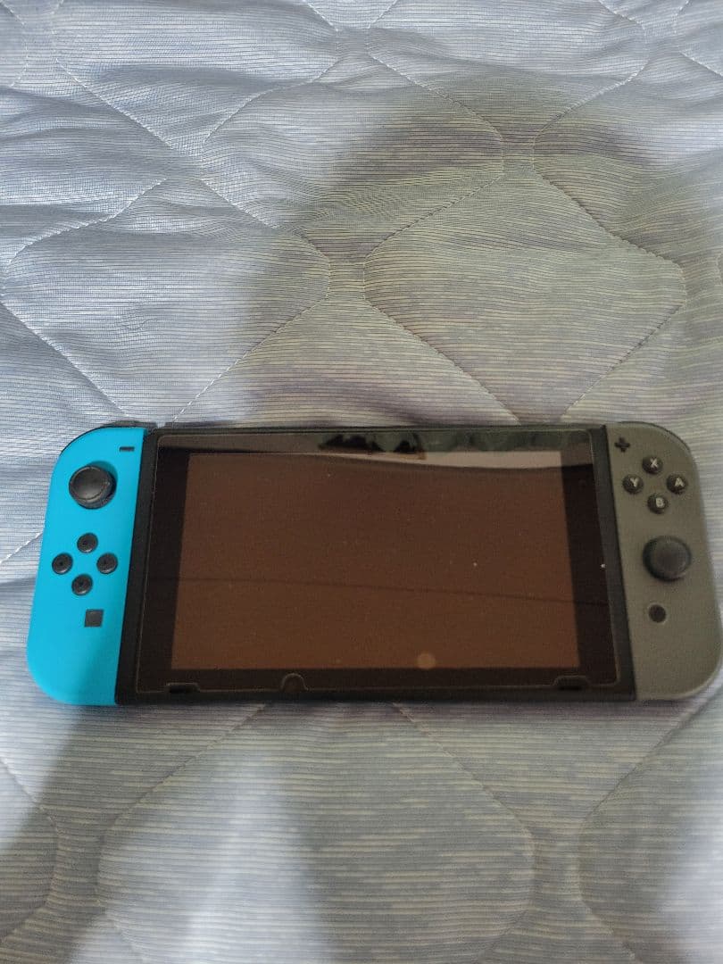 Nintendo Switch 本体 / 付属品付き！カセット付き！