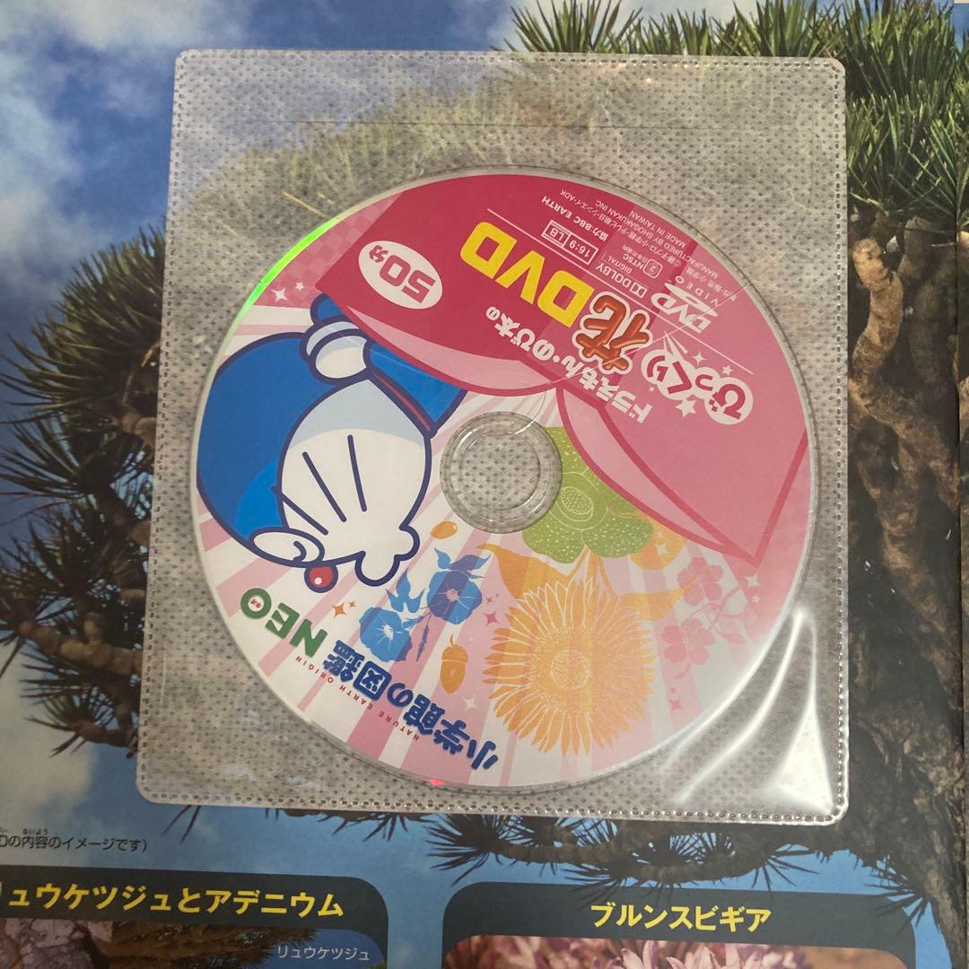 【美品】小学館の図鑑NEO 10冊セット 恐竜・昆虫・宇宙・動物 DVD付き3冊