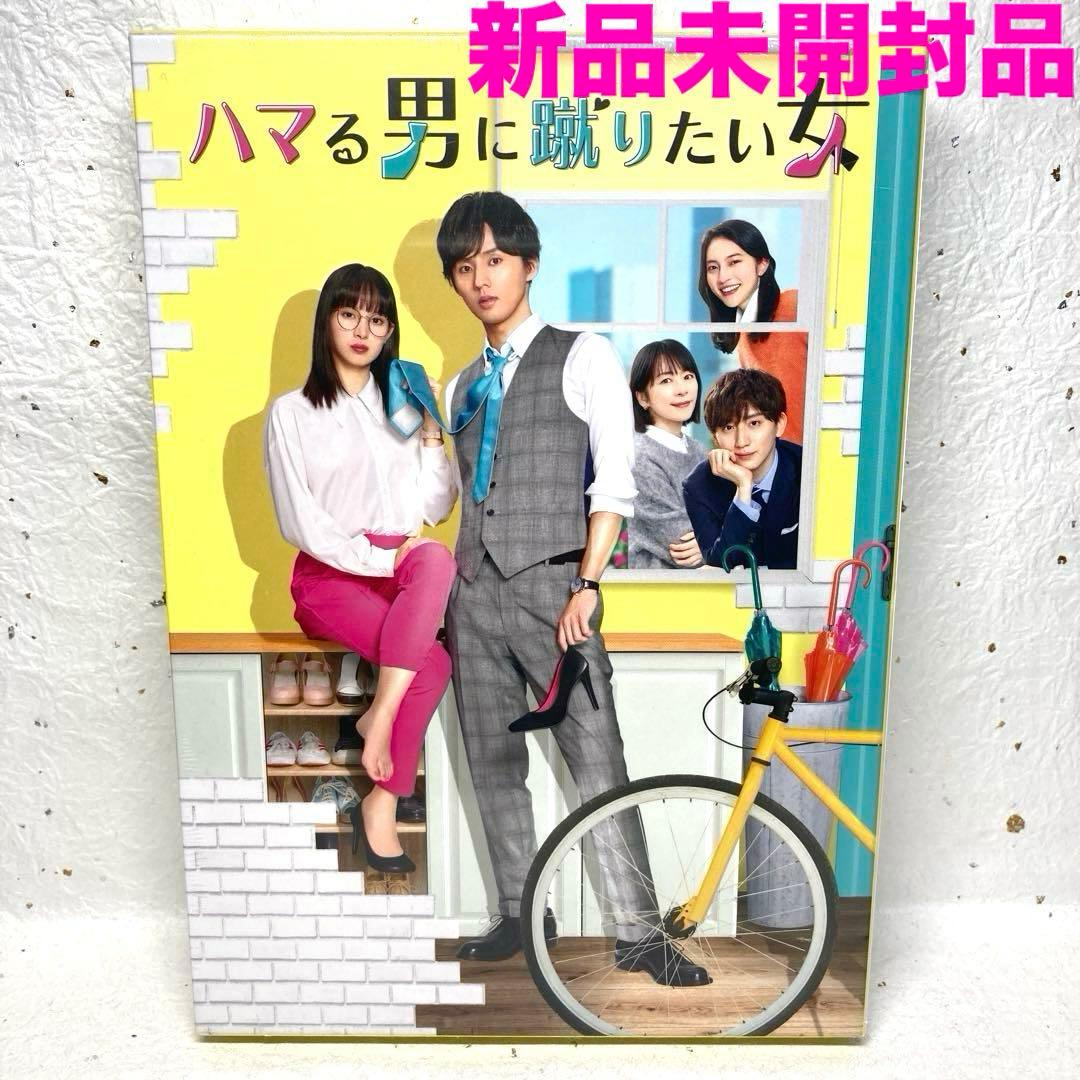 ハマる男に蹴りたい女 DVD-BOX〈4枚組〉