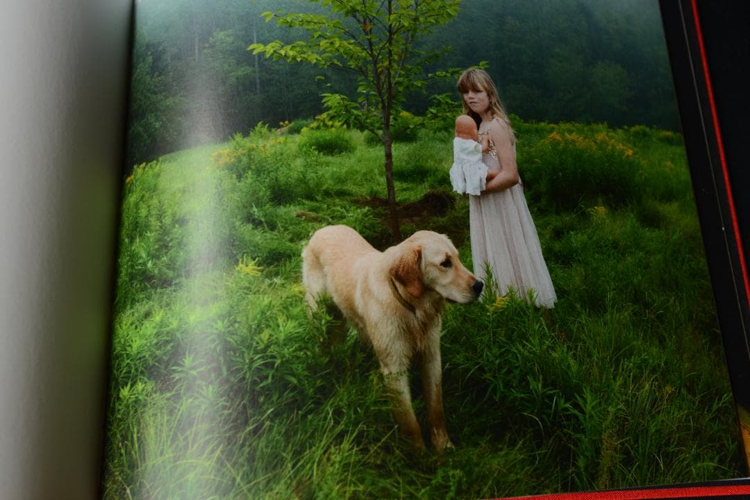 【Cig Harvey: You Look at Me Like an .. 】