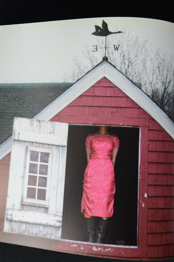 【Cig Harvey: You Look at Me Like an .. 】