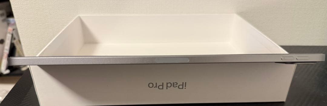 iPad Pro 第4世代 11インチ256GB