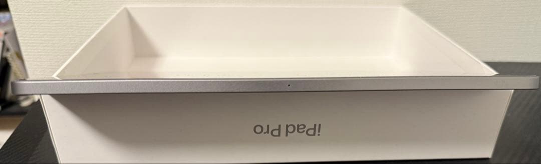 iPad Pro 第4世代 11インチ256GB