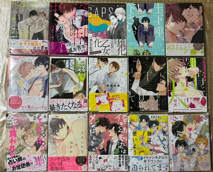 ⑥BL本まとめ売り　ボーイズラブコミックス　BOYS LOVE COMICS