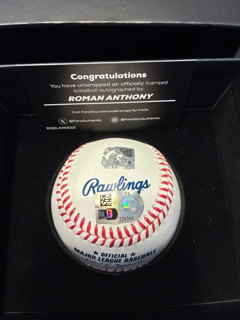 ローマン・アンソニー　レッドソックス　サインボール　MLB プロスペクト