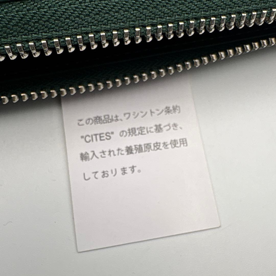 深緑　パイソン財布　蛇革　パイソン　長財布　グリーン　緑　上質タイプ