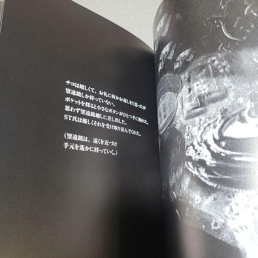 チコの時空間旅行　中江嘉男　上野紀子　絵本