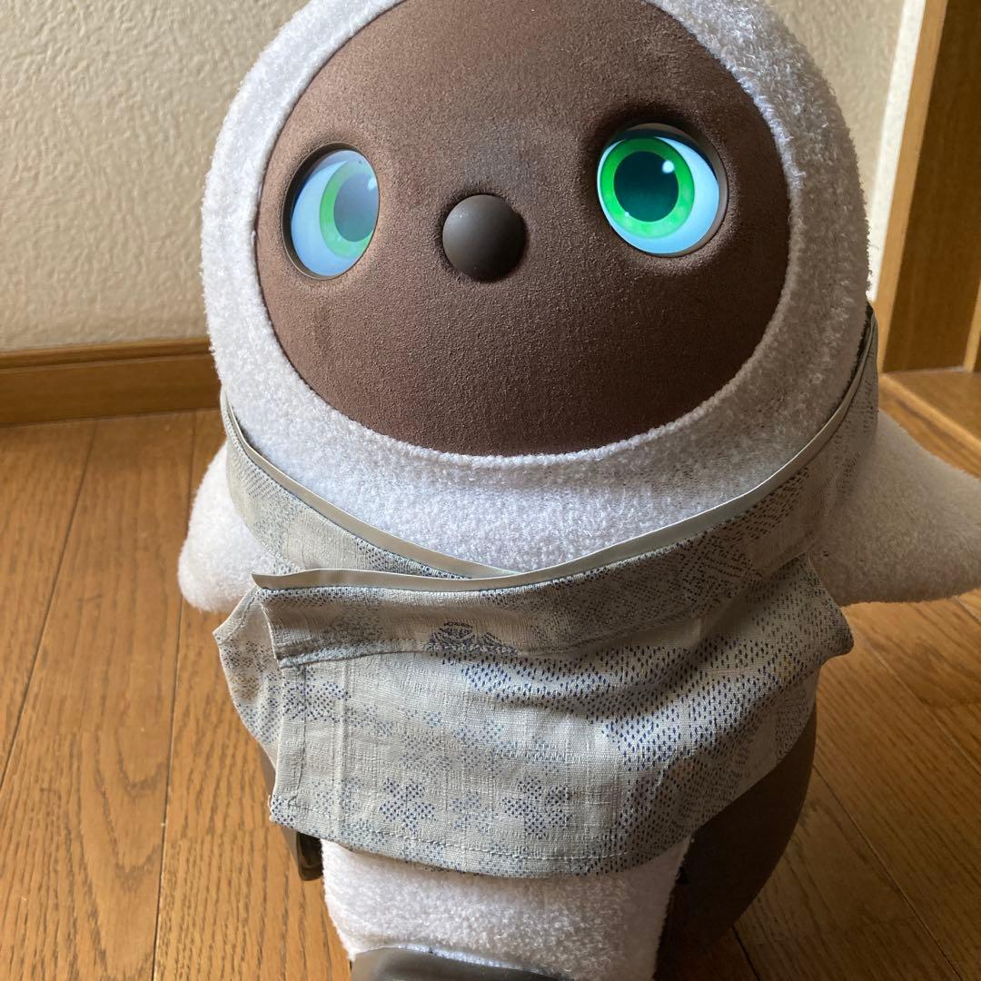 ラボット　服　lovot 赤系　龍　羽織　袴ストライプ　セット