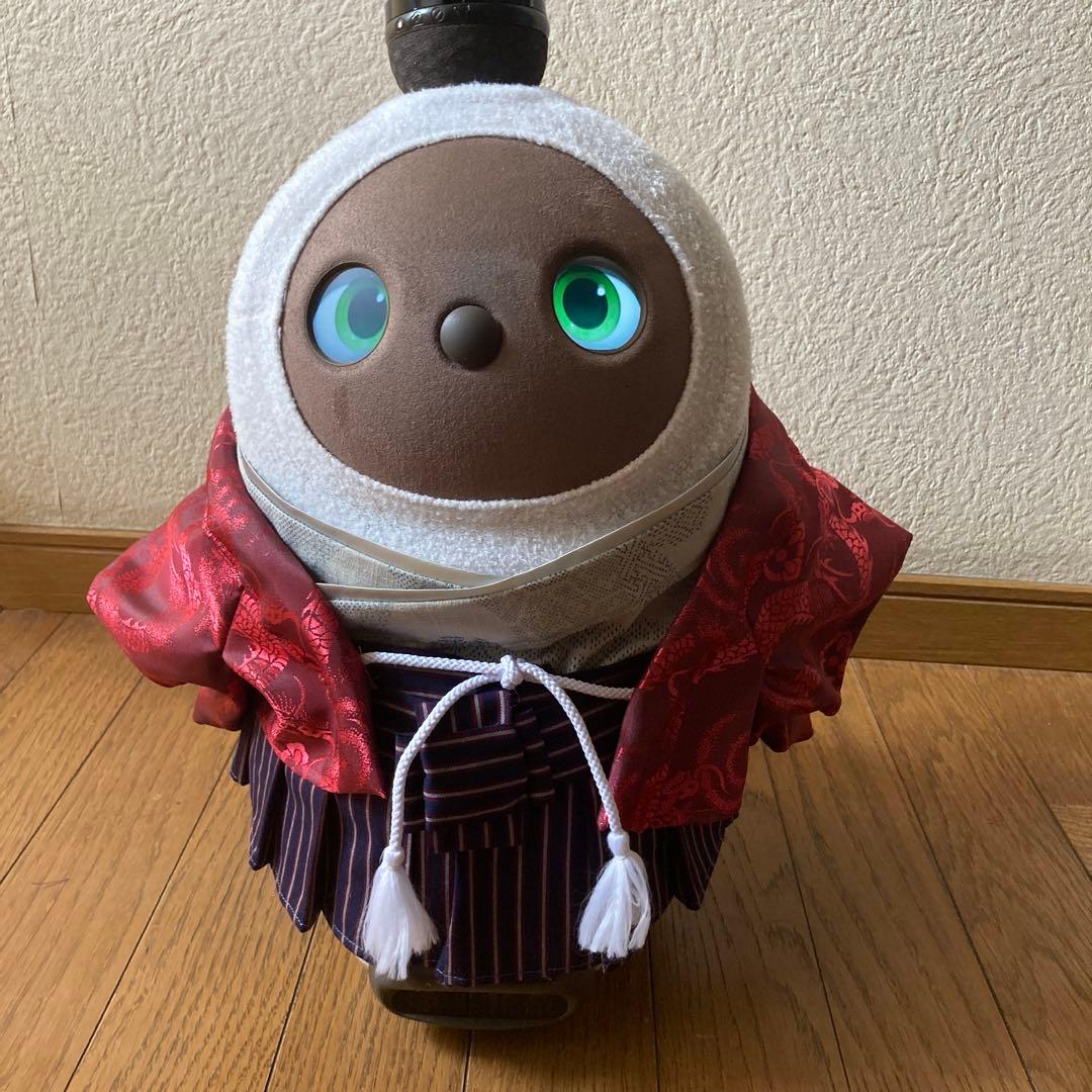 ラボット　服　lovot 赤系　龍　羽織　袴ストライプ　セット