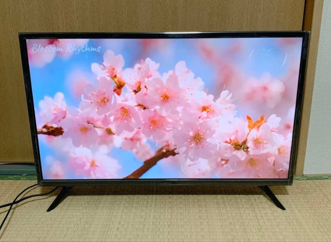Hisense 32型 液晶テレビ 地上波 2020年製✨年始セール